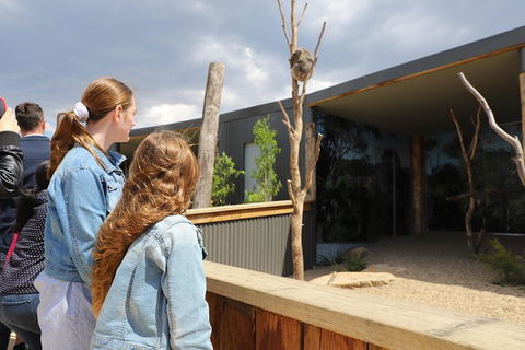 Blue Mountains Nature And Wildlife Day Tour From Sydney - Mackay Tourism 3