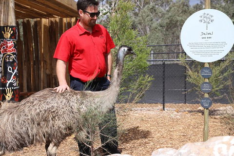Blue Mountains Nature And Wildlife Day Tour From Sydney - Mackay Tourism 5