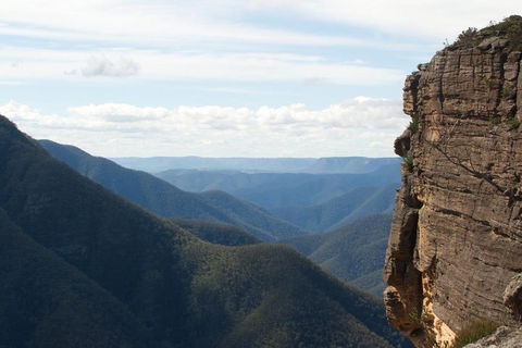 Inside The Greater Blue Mountains World Heritage - A Wildlife Safari Overnight - Mackay Tourism 4