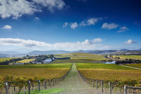 Yarra Valley Wine And Wildlife Self-Driving Tour - Mackay Tourism 1
