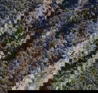 Leven Canyon Day Trip Including Wings Wildlife Park or Gunns Plains Caves - Mackay Tourism