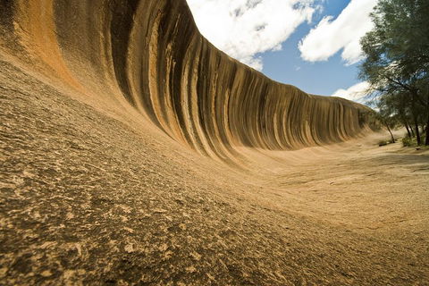 Wave Rock, York, Wildflowers, And Aboriginal Cultural Day Tour From Perth - Mackay Tourism 0