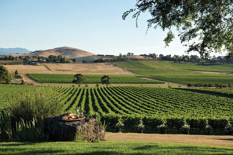 Yarra Valley 2-6 Guests Premium Food And Wine Inc Lunch At Dominique Portet - Mackay Tourism 2