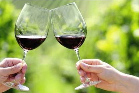 Yarra Valley Premium Tour Inc Lunch And Cheese And Wine Pairing At De Bortoli - Mackay Tourism 5