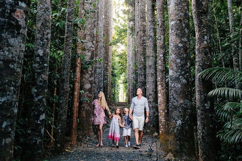 The Original Day Tour To Paronella Park, Lake Barrine And Millaa Millaa Falls - Mackay Tourism 1