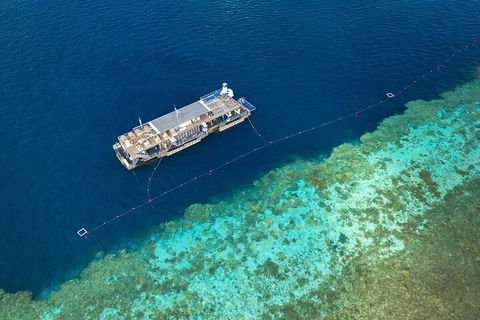 Great Barrier Reef Day Cruise To Reefworld - Mackay Tourism 2