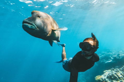 Great Barrier Reef Day Cruise To Reefworld - Mackay Tourism 3