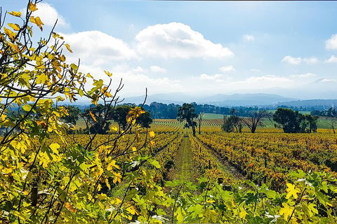 Yarra Valley Wine & Food Tour Departing From Melbourne - Mackay Tourism 4