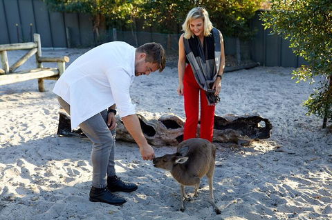 Albany's Whale Story - Mackay Tourism 1