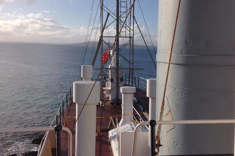 Albany's Whale Story - Mackay Tourism 2