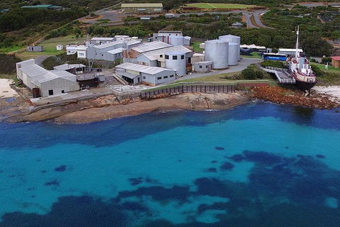 Albany's Whale Story - Mackay Tourism 4