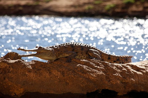 Windjana Explorer - Mackay Tourism 5