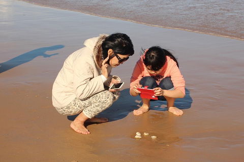 Beach & Dune - Mackay Tourism 2