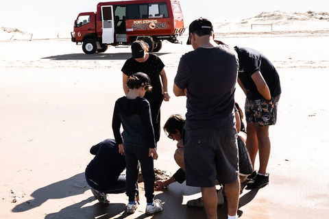Beach & Dune - Mackay Tourism 3