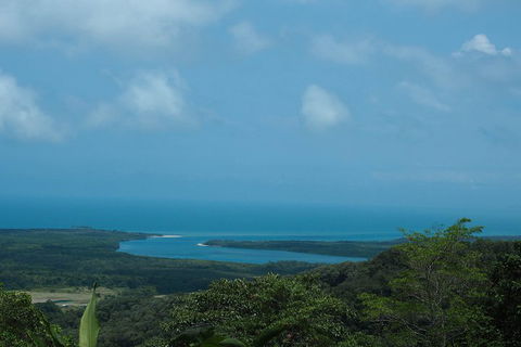 Cape Tribulation, Daintree Rainforest And Wildlife Tour - Mackay Tourism 1