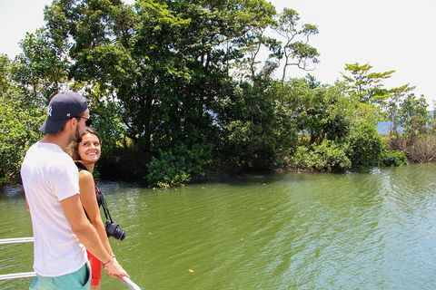 Cape Tribulation, Daintree Rainforest And Wildlife Tour - Mackay Tourism 2