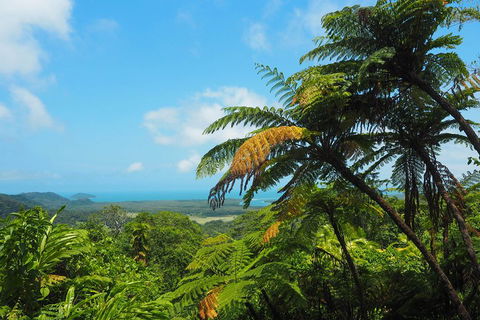 Cape Tribulation, Daintree Rainforest And Wildlife Tour - Mackay Tourism 3