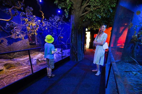Wildlife Habitat Port Douglas - Mackay Tourism 4