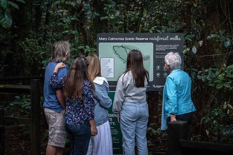 Sunshine Coast Hinterland And Noosa Day Trip From Brisbane Including Eumundi Markets And Ginger Factory - Mackay Tourism 0