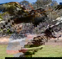 One Day Kangaroo Island Sip  See tour with return ferry transfers from Adelaide - Mackay Tourism