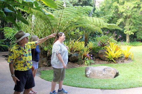 Cairns Shore Excursion: Cairns City Sights & Surrounds Tour - Mackay Tourism 4