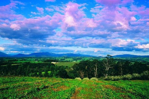 CHEVY CONVERTIBLE Package For 4 -Wine Lunch Cheese & Chocolate From Yarra Valley - Mackay Tourism 4