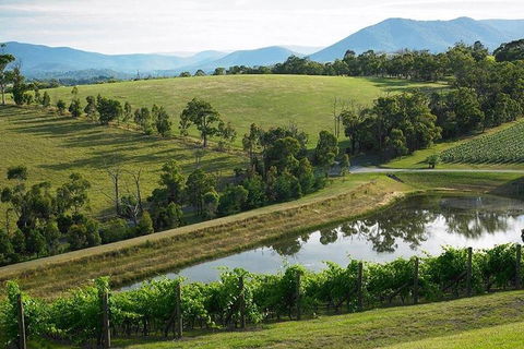 Yarra Valley Wine And Cider Tours By Classic Convertibles From Melbourne - Mackay Tourism 1