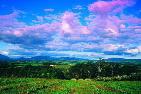 Yarra Valley Wine And Cider Tours By Classic Convertibles From Melbourne - Mackay Tourism 3