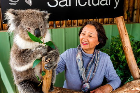 Moonlit Sanctuary Wildlife Conservation Park Daytime General Entry Ticket - Mackay Tourism 0