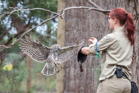 Moonlit Sanctuary Wildlife Conservation Park Daytime General Entry Ticket - Mackay Tourism 1
