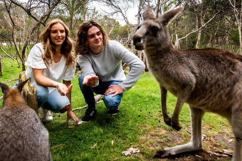 Moonlit Sanctuary Wildlife Conservation Park Daytime General Entry Ticket - Mackay Tourism 2