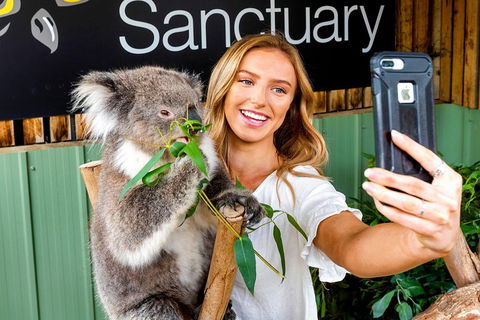 Moonlit Sanctuary Wildlife Conservation Park Daytime General Entry Ticket - Mackay Tourism 4