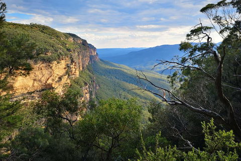 Blue Mountains Day Tour With Wildlife At Sunset From Sydney - Mackay Tourism 5