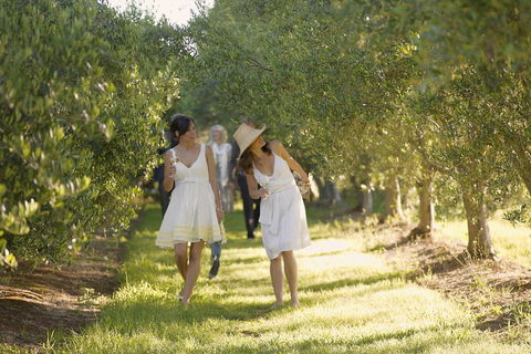 Yarra Valley Wine Tour With Local Harvest Tastings From Melbourne - Mackay Tourism 0