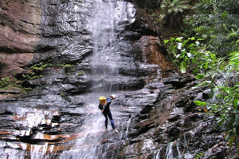 Full-Day Canyoning Experience At Stunning Empress Canyon - Mackay Tourism 0