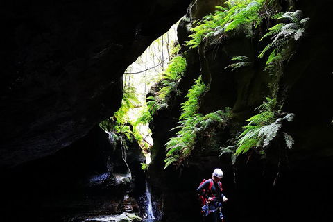 Full-Day Canyoning Experience At Stunning Empress Canyon - Mackay Tourism 2