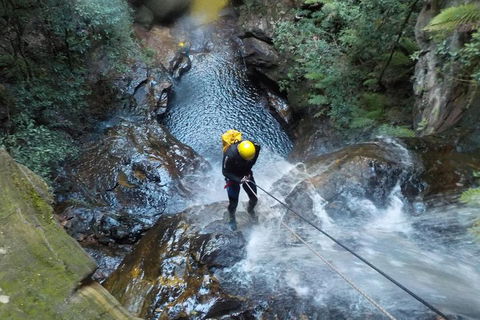 Full-Day Canyoning Experience At Stunning Empress Canyon - Mackay Tourism 4