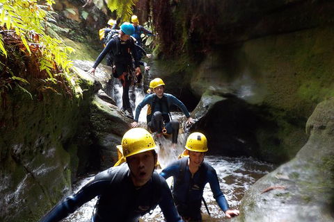 Full-Day Canyoning Experience At Stunning Empress Canyon - Mackay Tourism 5
