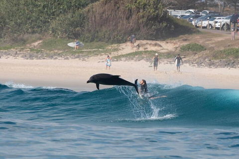 Cruise With Dolphins In Byron Bay - Mackay Tourism 3