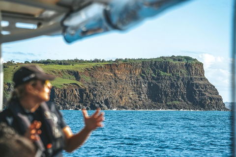 Cruise With Dolphins In Byron Bay - Mackay Tourism 4