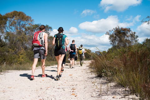 Pittwater Discovery Kayaking Tour - Mackay Tourism 0