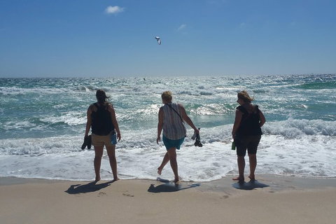 Very Best Of Perth Tour - Wildlife Park & City Highlights Tour - Mackay Tourism 5