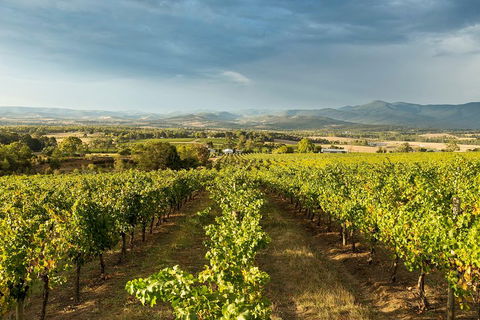 Yarra Valley Local Produce And Wine Tasting Tour - Mackay Tourism 3
