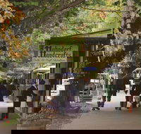 Adelaide Highlights Hahndorf  McLaren Vale Wine Tasting and Sightseeing Tour - Mackay Tourism