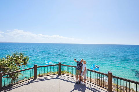 Noosa Everglades Serenity Cruise & Highlights Tour Inc. Lunch & Cruise - Mackay Tourism 3