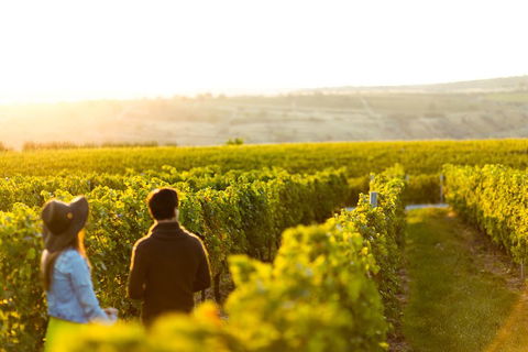 Margaret River Private Tour - Mackay Tourism 2