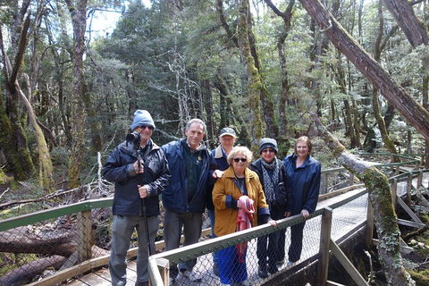 Blue Mountains Private Tour With Wildlife Park And River Cruise - Mackay Tourism 2
