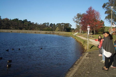 PRIVATE All-Day Blue Mountains Tour With Professional Guide For Up To 4 People - Mackay Tourism 2