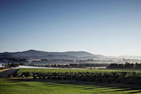 Chauffeur Driven Yarra Valley Group Wine Tour - Up To 7 - Mackay Tourism 2