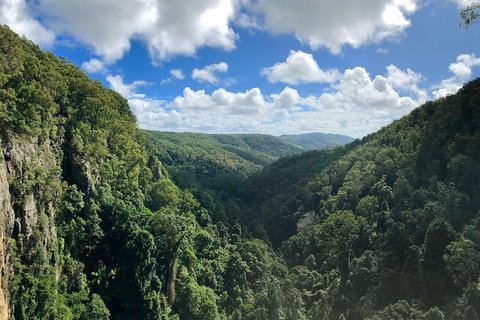 Springbrook Full Day Tour - Mackay Tourism 1